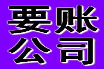 美团借款违约可能面临何种刑罚？